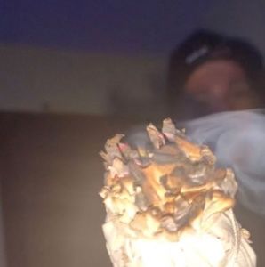 Meet your Posher, Thomas